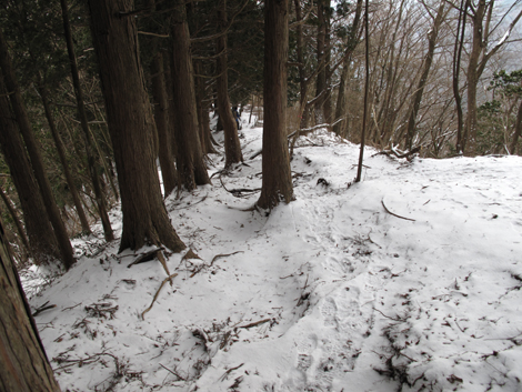 20160204hike (284)